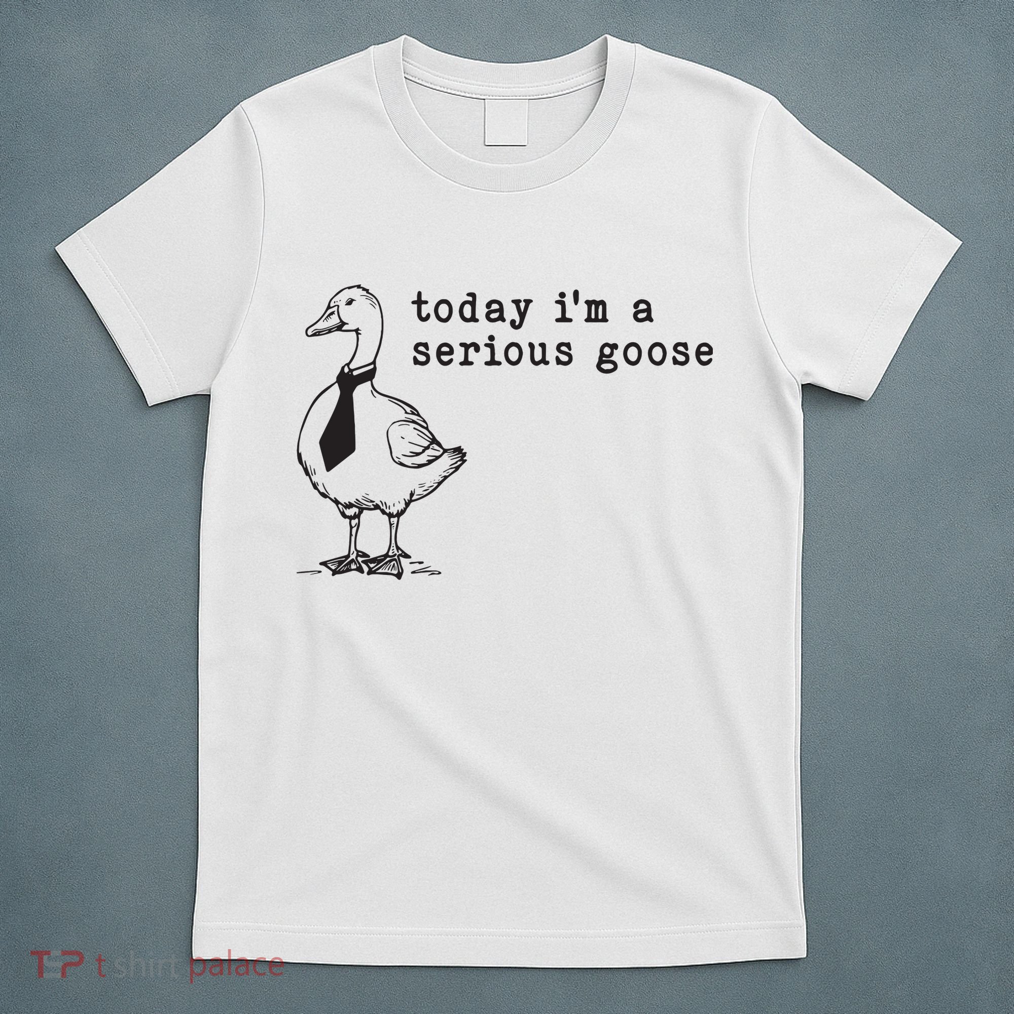 Today Im A Serious Goose T-Shirt