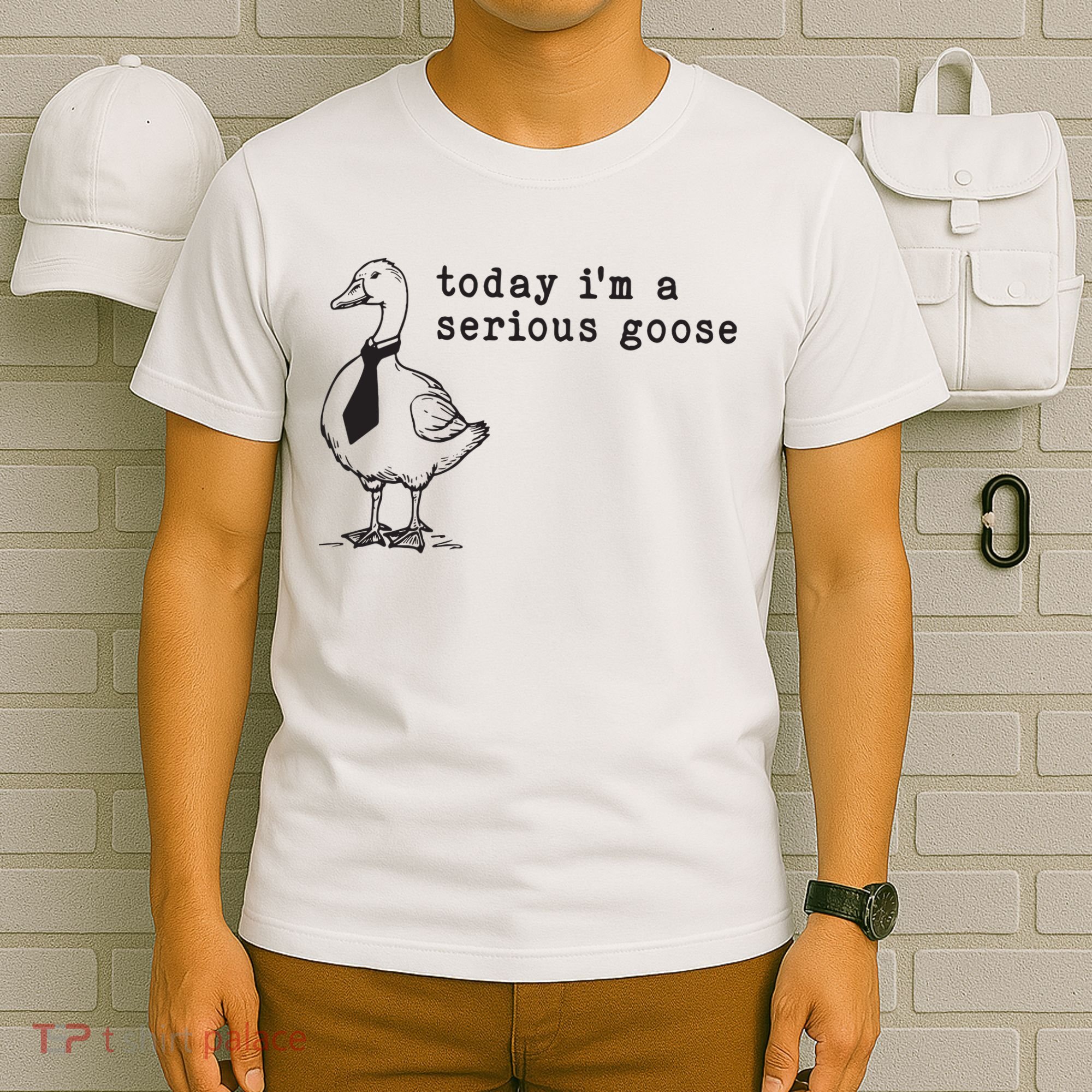 Today Im A Serious Goose T-Shirt