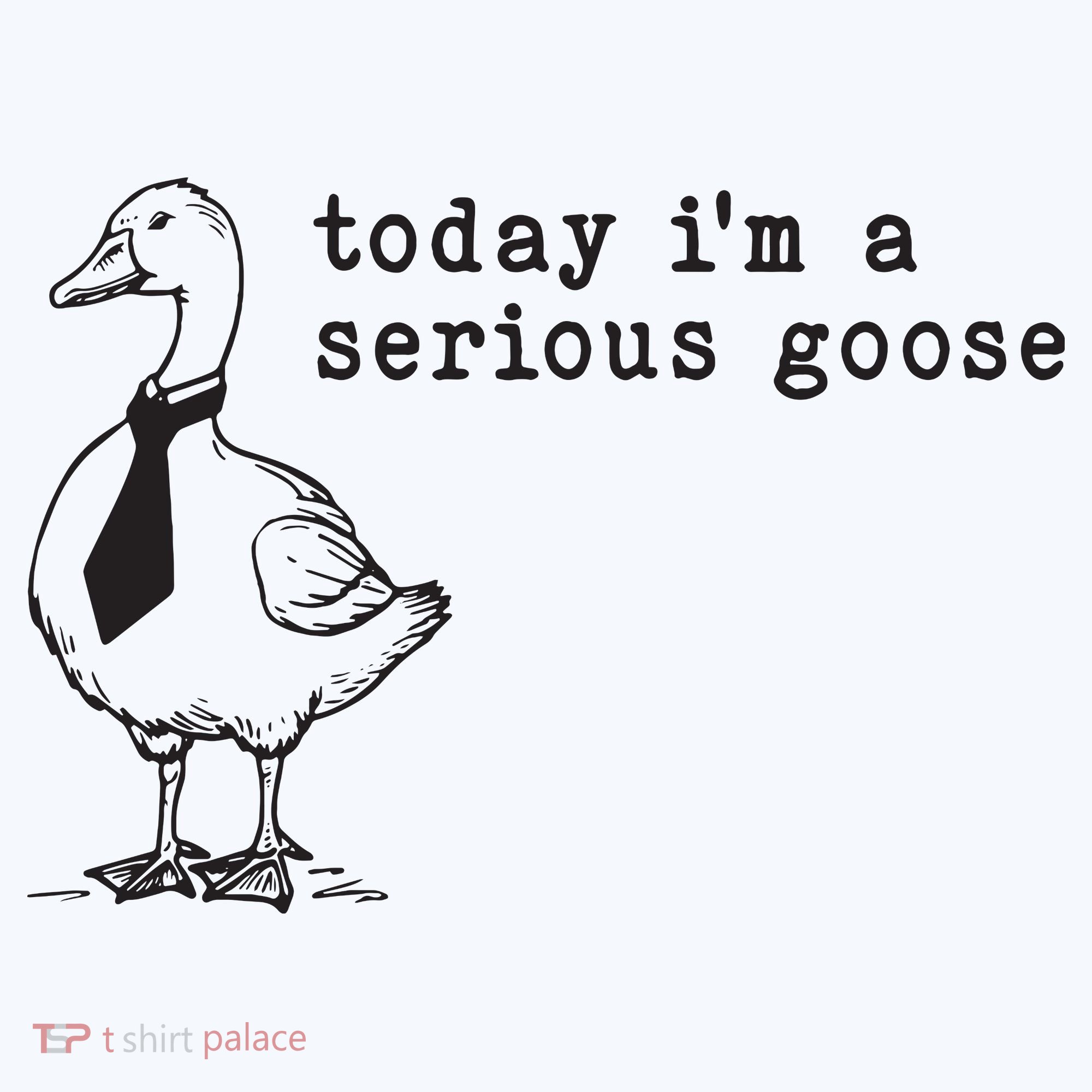 Today Im A Serious Goose T-Shirt