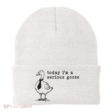 Today Im A Serious Goose Beanie