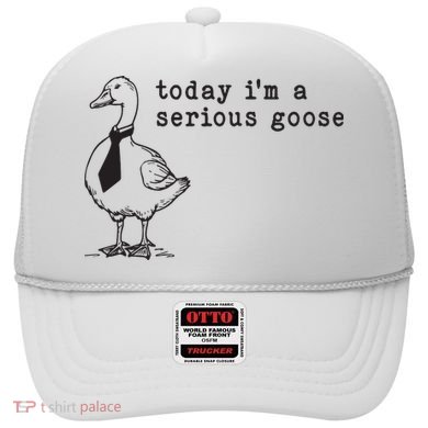 Today Im A Serious Goose Hat