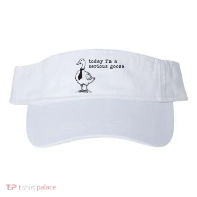 Visor
