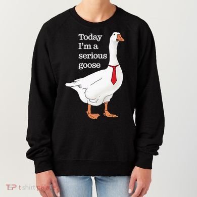 Today I Am A Serious Goose Funny Oddly Specific Dank Meme Women's Sweatshirt