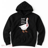 Today I Am A Serious Goose Funny Oddly Specific Dank Meme Hoodie thumb 0