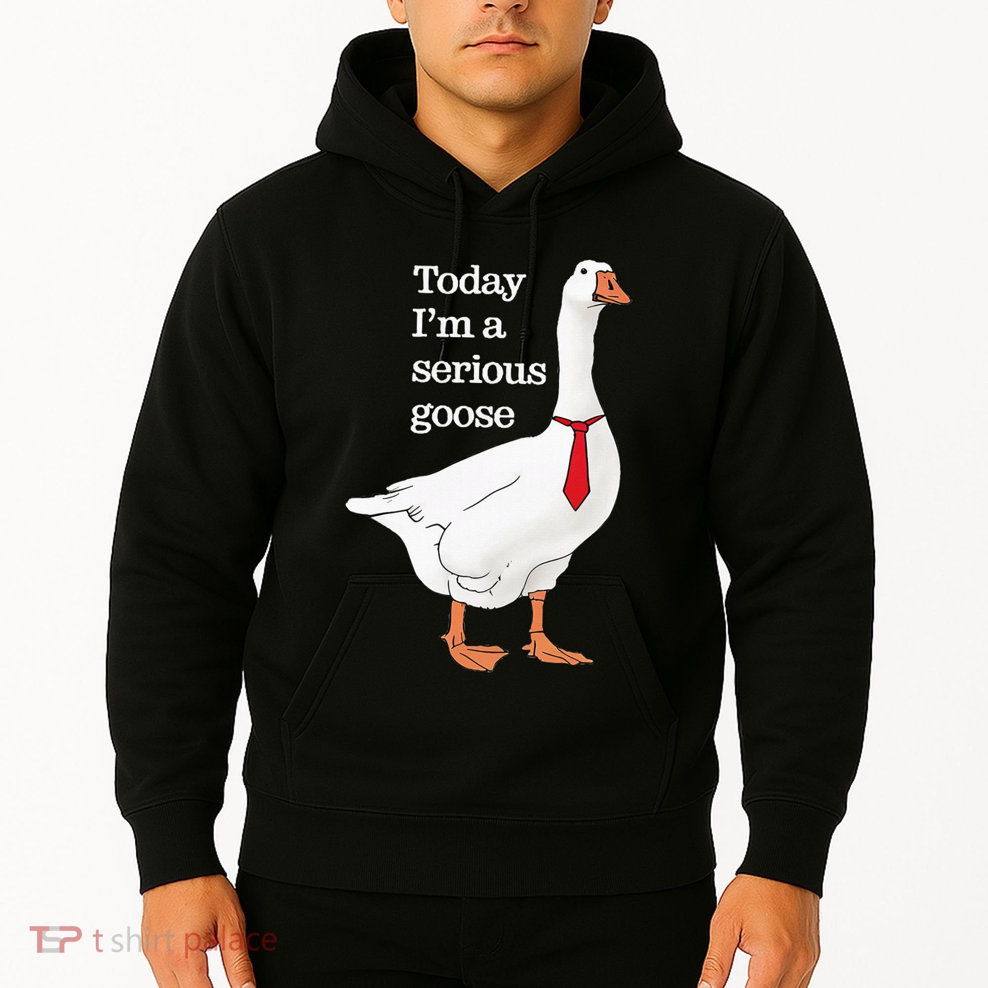 Today I Am A Serious Goose Funny Oddly Specific Dank Meme Hoodie