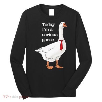 Today I Am A Serious Goose Funny Oddly Specific Dank Meme Long Sleeve Shirt