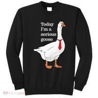 Today I Am A Serious Goose Funny Oddly Specific Dank Meme Sweatshirt thumb 0