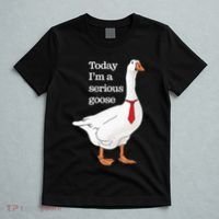 Today I Am A Serious Goose Funny Oddly Specific Dank Meme T-Shirt thumb 5