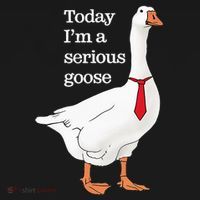 Today I Am A Serious Goose Funny Oddly Specific Dank Meme T-Shirt thumb 7