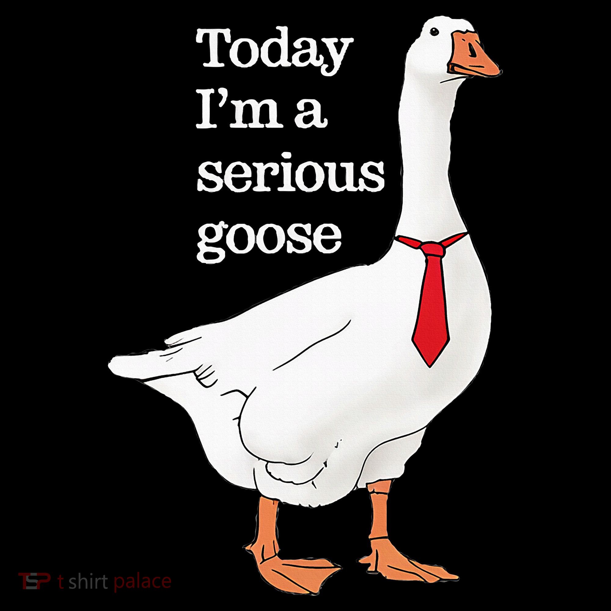 Today I Am A Serious Goose Funny Oddly Specific Dank Meme T-Shirt