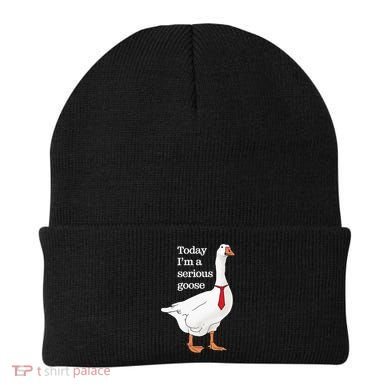 Today I Am A Serious Goose Funny Oddly Specific Dank Meme Beanie