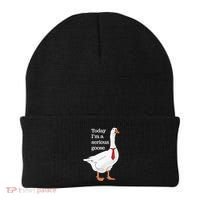 Today I Am A Serious Goose Funny Oddly Specific Dank Meme Beanie thumb 0