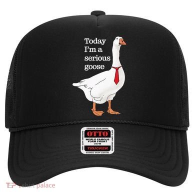 Today I Am A Serious Goose Funny Oddly Specific Dank Meme Hat