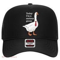 Today I Am A Serious Goose Funny Oddly Specific Dank Meme Hat thumb 0