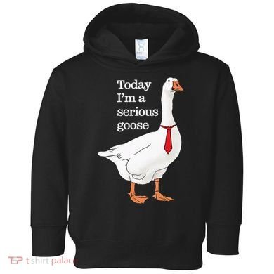 Today I Am A Serious Goose Funny Oddly Specific Dank Meme Toddler Hoodie