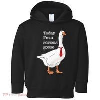 Today I Am A Serious Goose Funny Oddly Specific Dank Meme Toddler Hoodie thumb 0