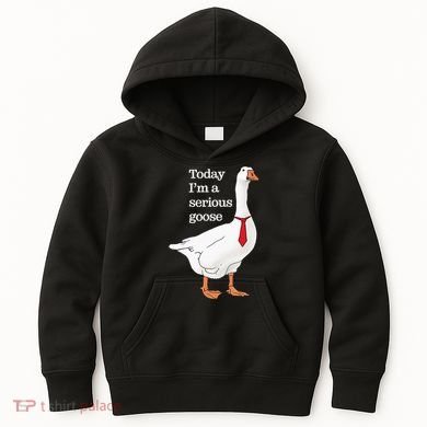 Today I Am A Serious Goose Funny Oddly Specific Dank Meme Kids Hoodie