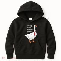 Today I Am A Serious Goose Funny Oddly Specific Dank Meme Kids Hoodie thumb 0
