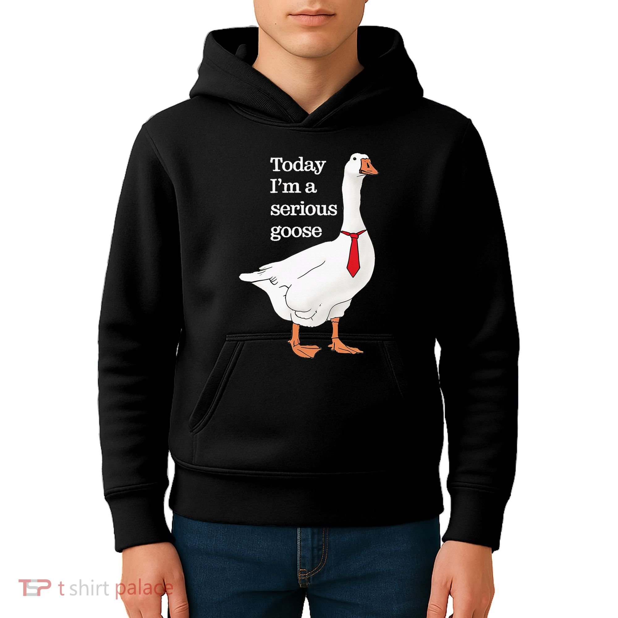 Today I Am A Serious Goose Funny Oddly Specific Dank Meme Kids Hoodie
