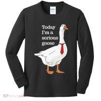 Today I Am A Serious Goose Funny Oddly Specific Dank Meme Kids Long Sleeve Shirt thumb 0