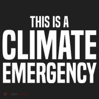This Is A Climate Emergency Women's Sweatshirt thumb 2