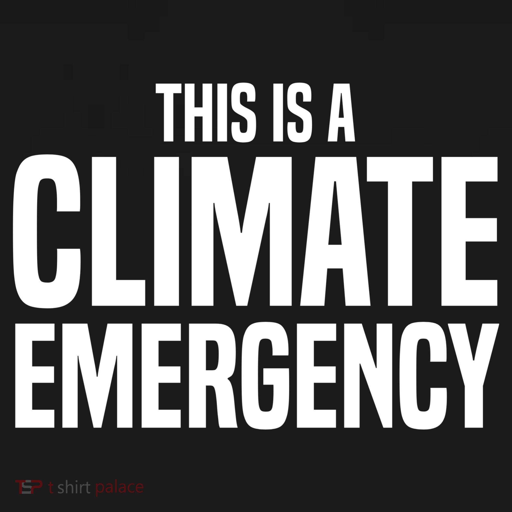 This Is A Climate Emergency Backpack