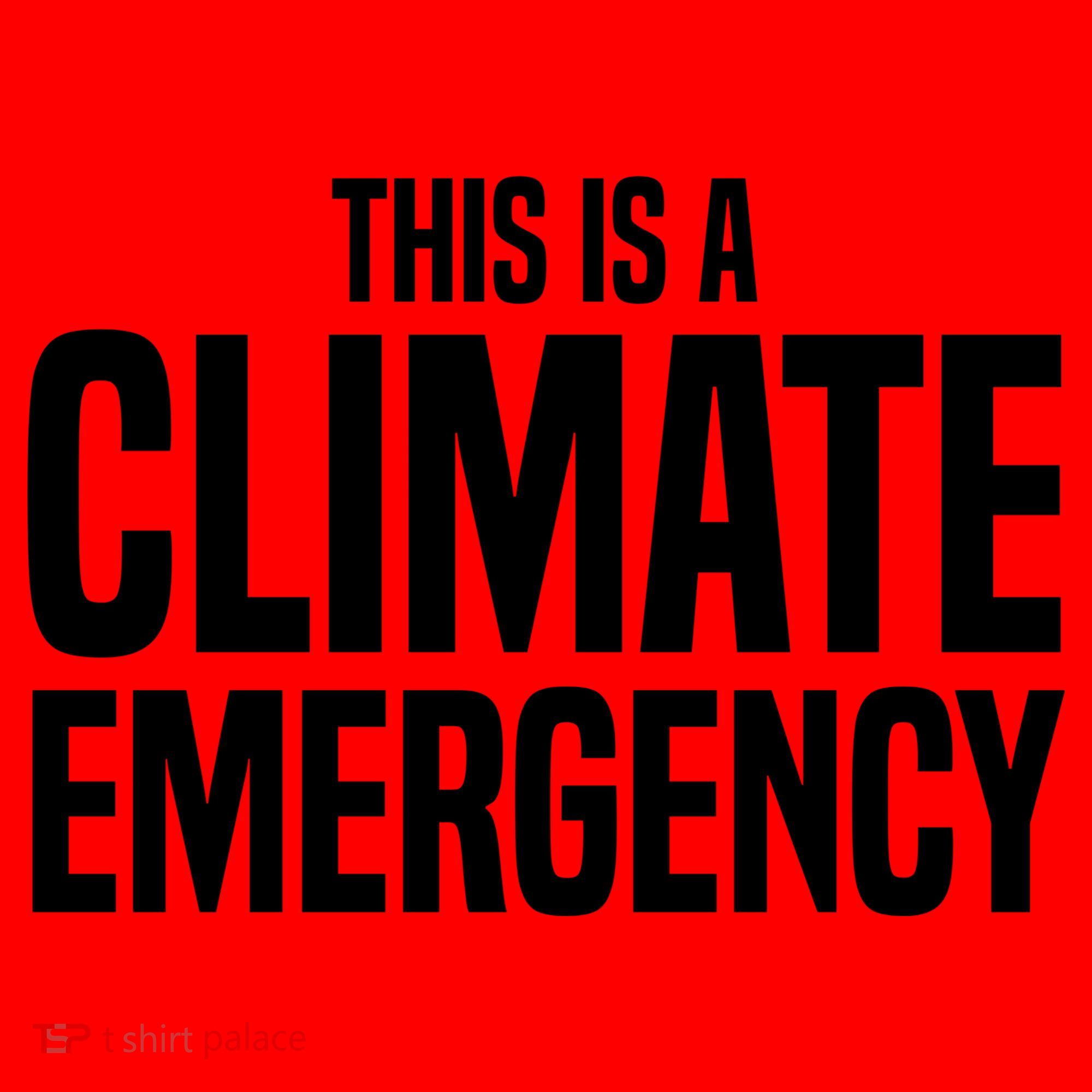 This Is A Climate Emergency Santa Hat