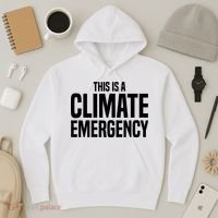 This Is A Climate Emergency Hoodie thumb 3