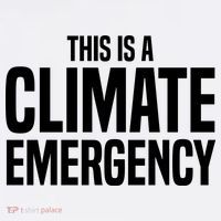 This Is A Climate Emergency Hoodie thumb 7