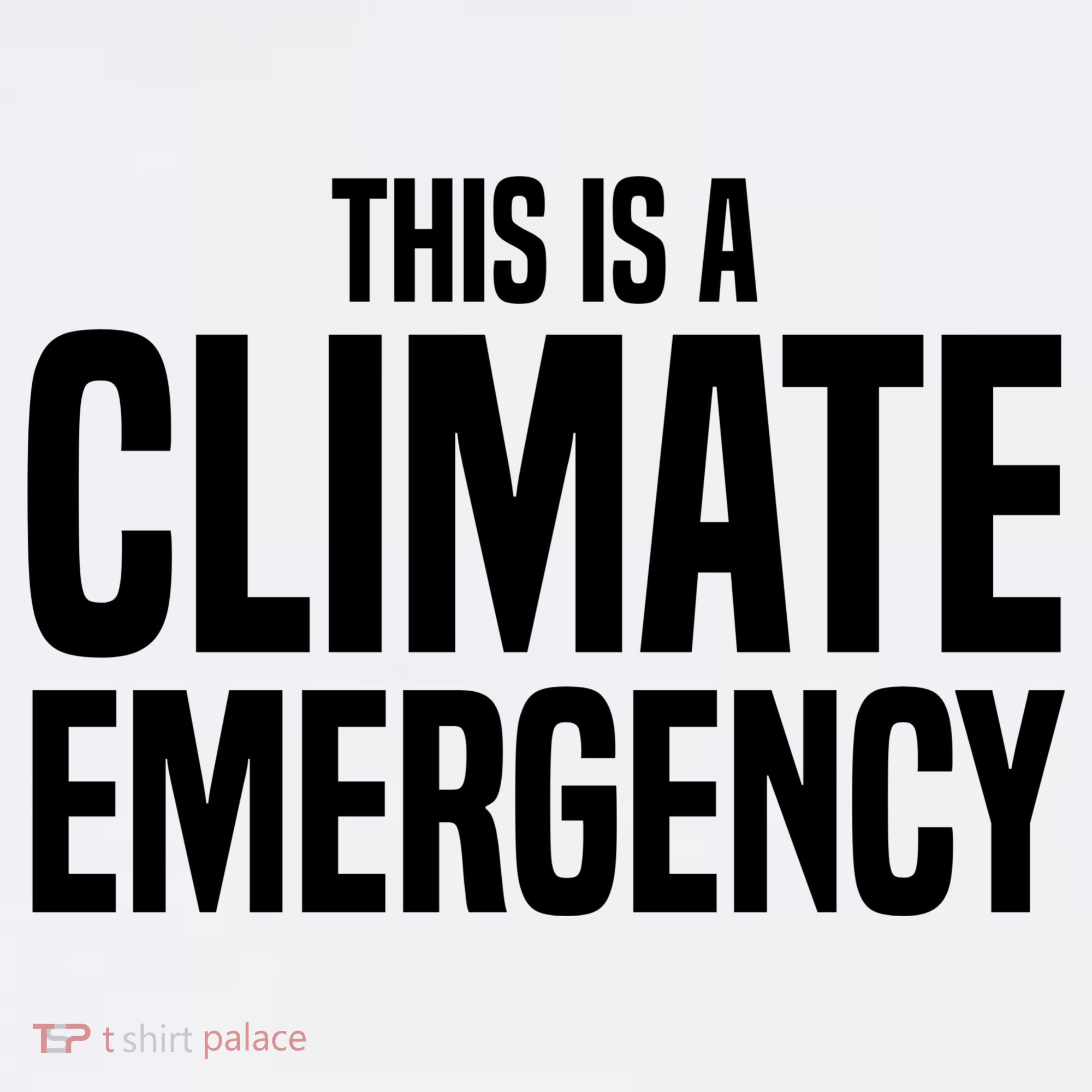 This Is A Climate Emergency Apron