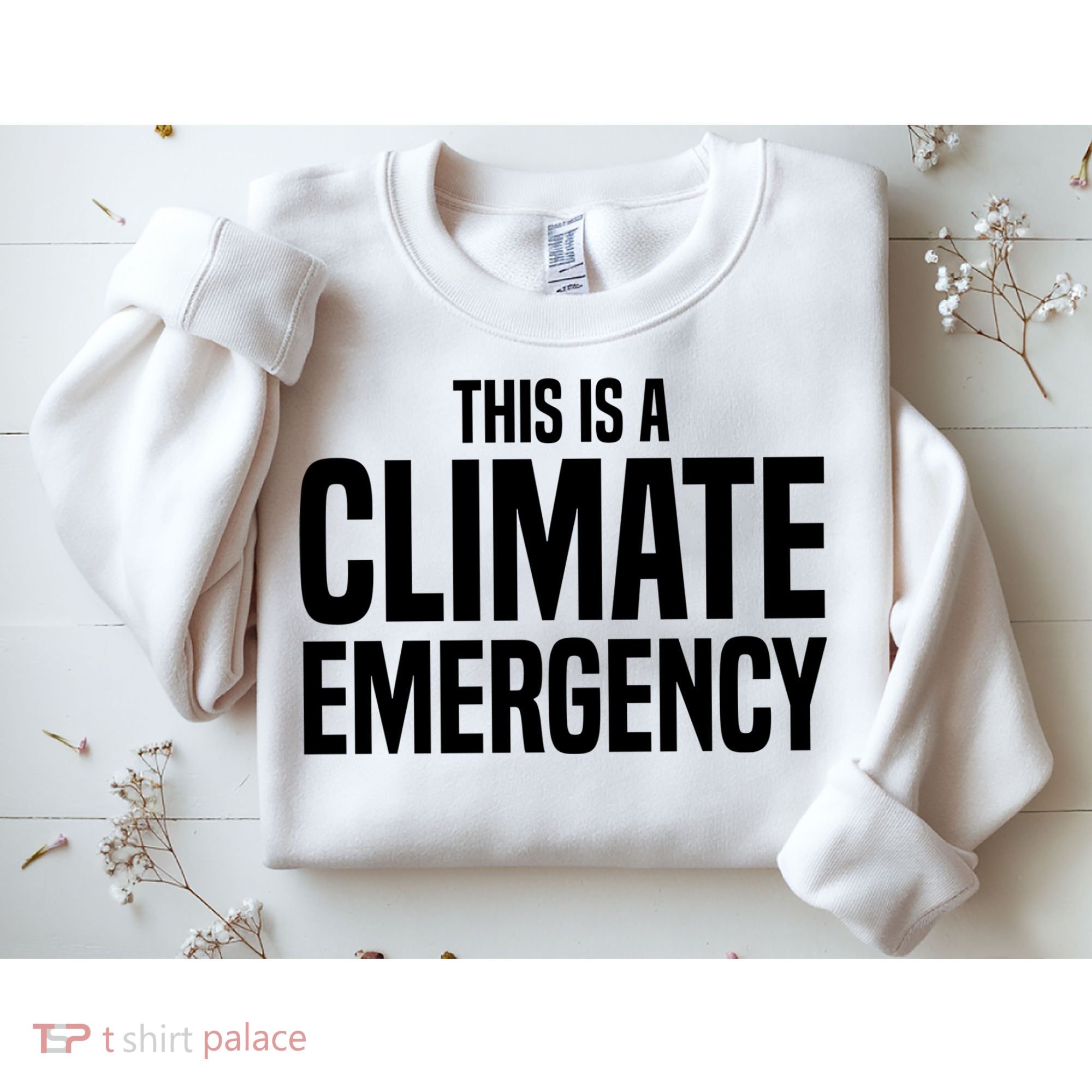 This Is A Climate Emergency Sweatshirt