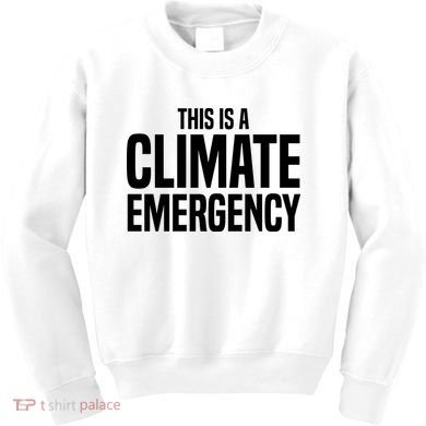 This Is A Climate Emergency Kids Sweatshirt