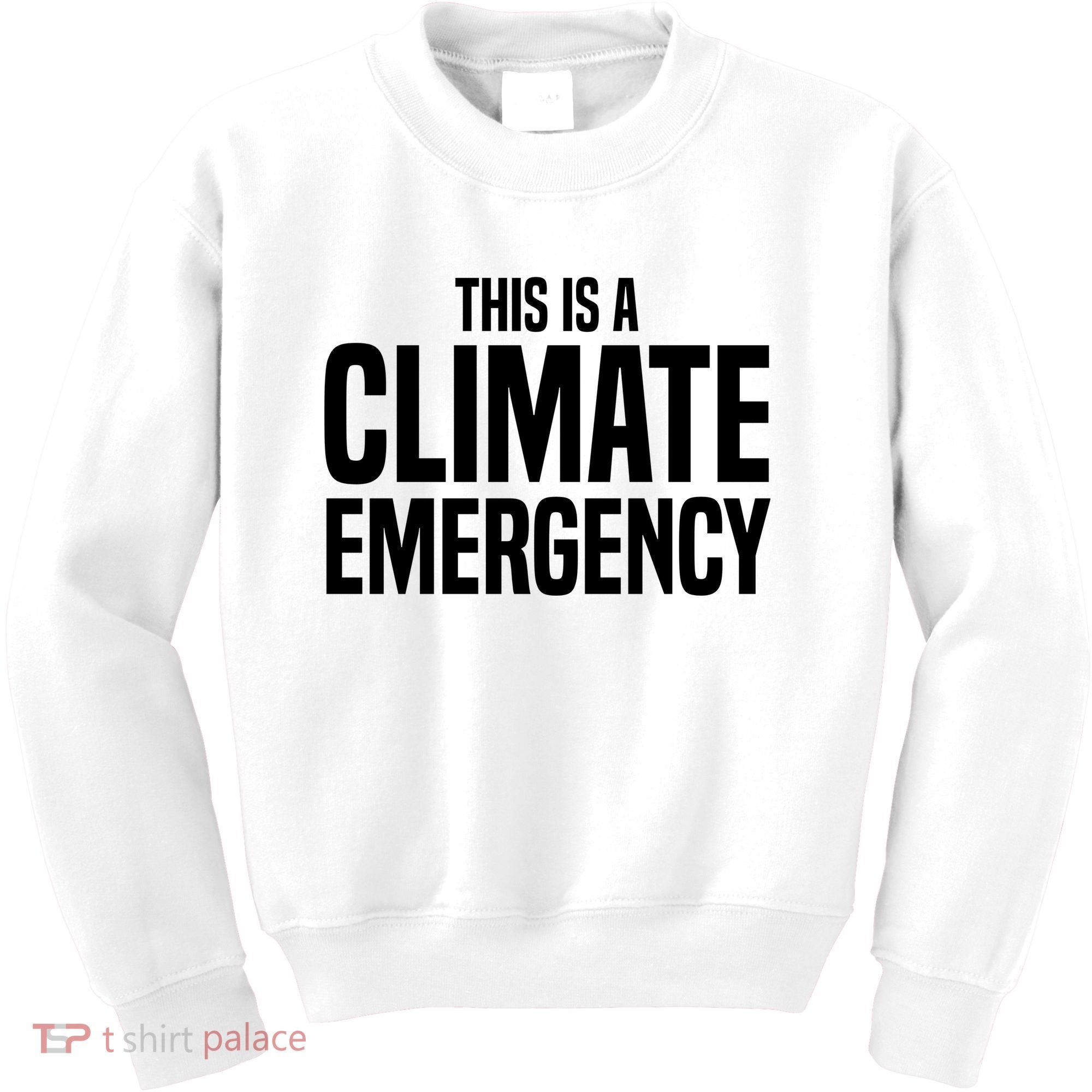 This Is A Climate Emergency Kids Sweatshirt