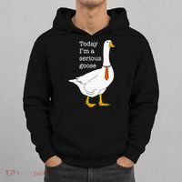Today IM A Serious Goose Silly Goose Hoodie thumb 0