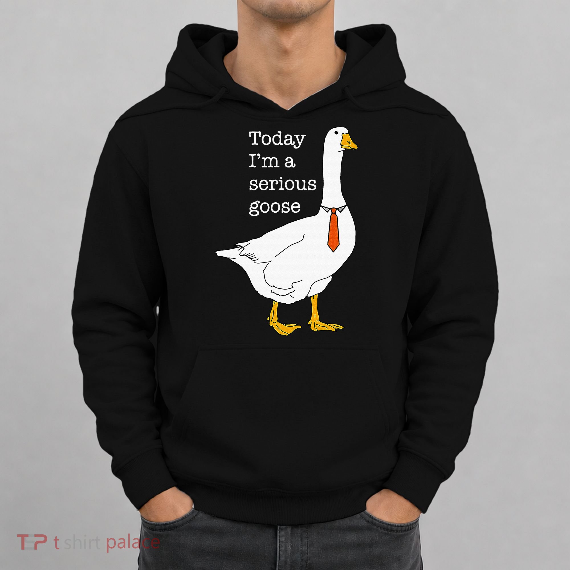Today IM A Serious Goose Silly Goose Hoodie