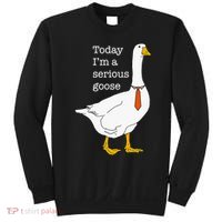 Today IM A Serious Goose Silly Goose Sweatshirt thumb 0