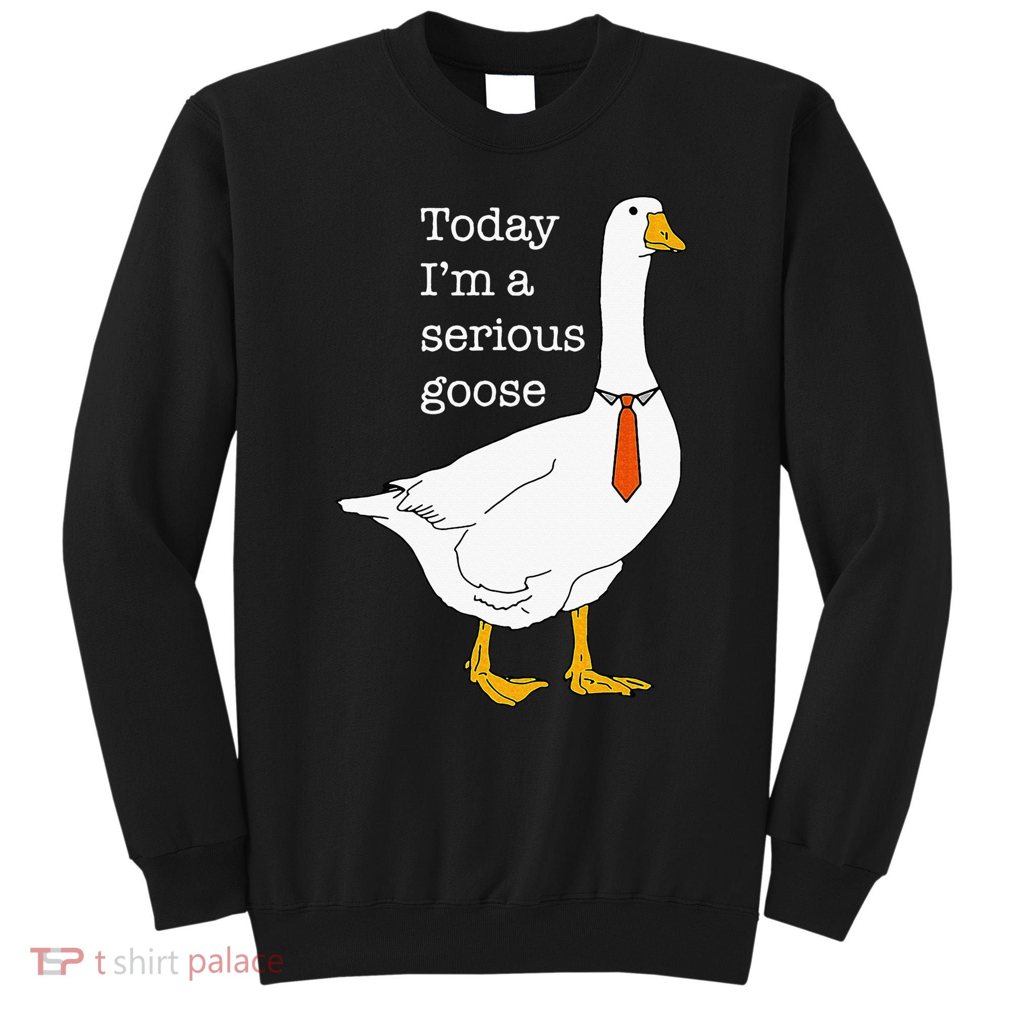Today IM A Serious Goose Silly Goose Sweatshirt