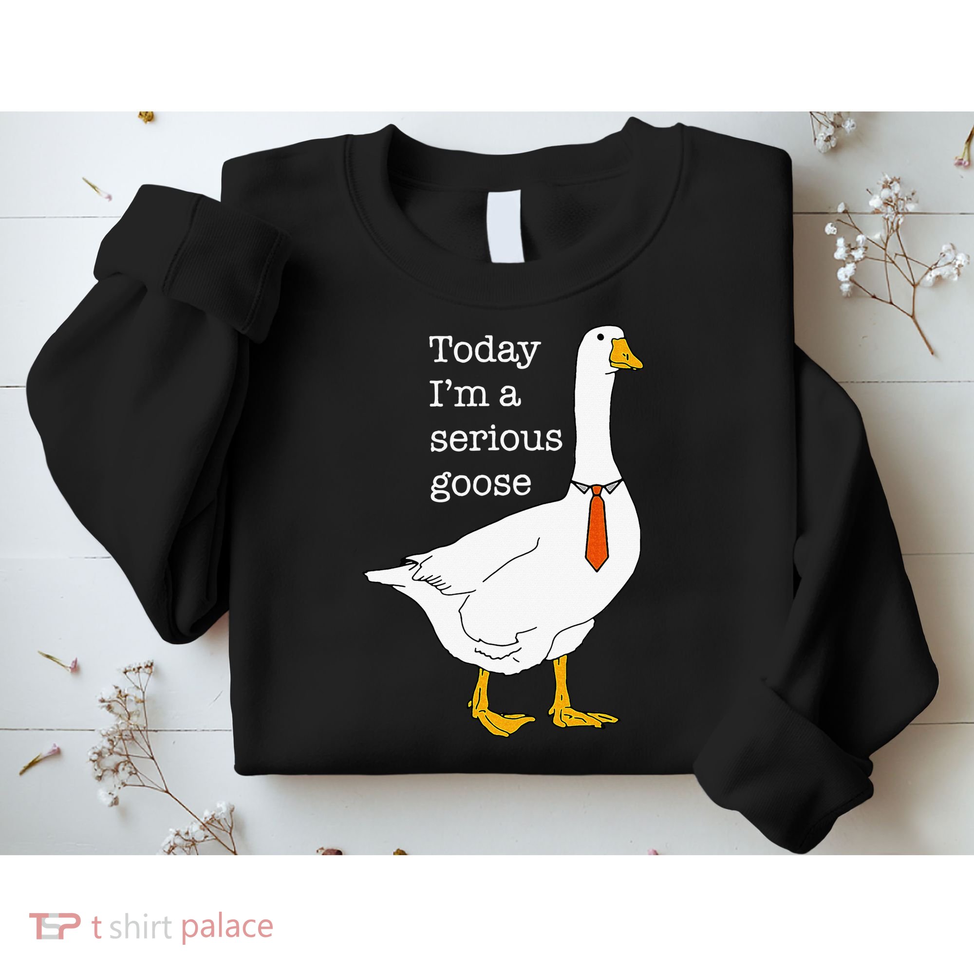 Today IM A Serious Goose Silly Goose Sweatshirt