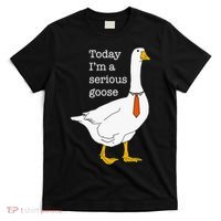 Today IM A Serious Goose Silly Goose T-Shirt thumb 0