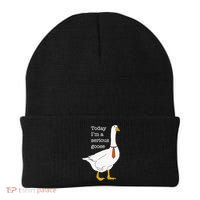 Today IM A Serious Goose Silly Goose Beanie thumb 0