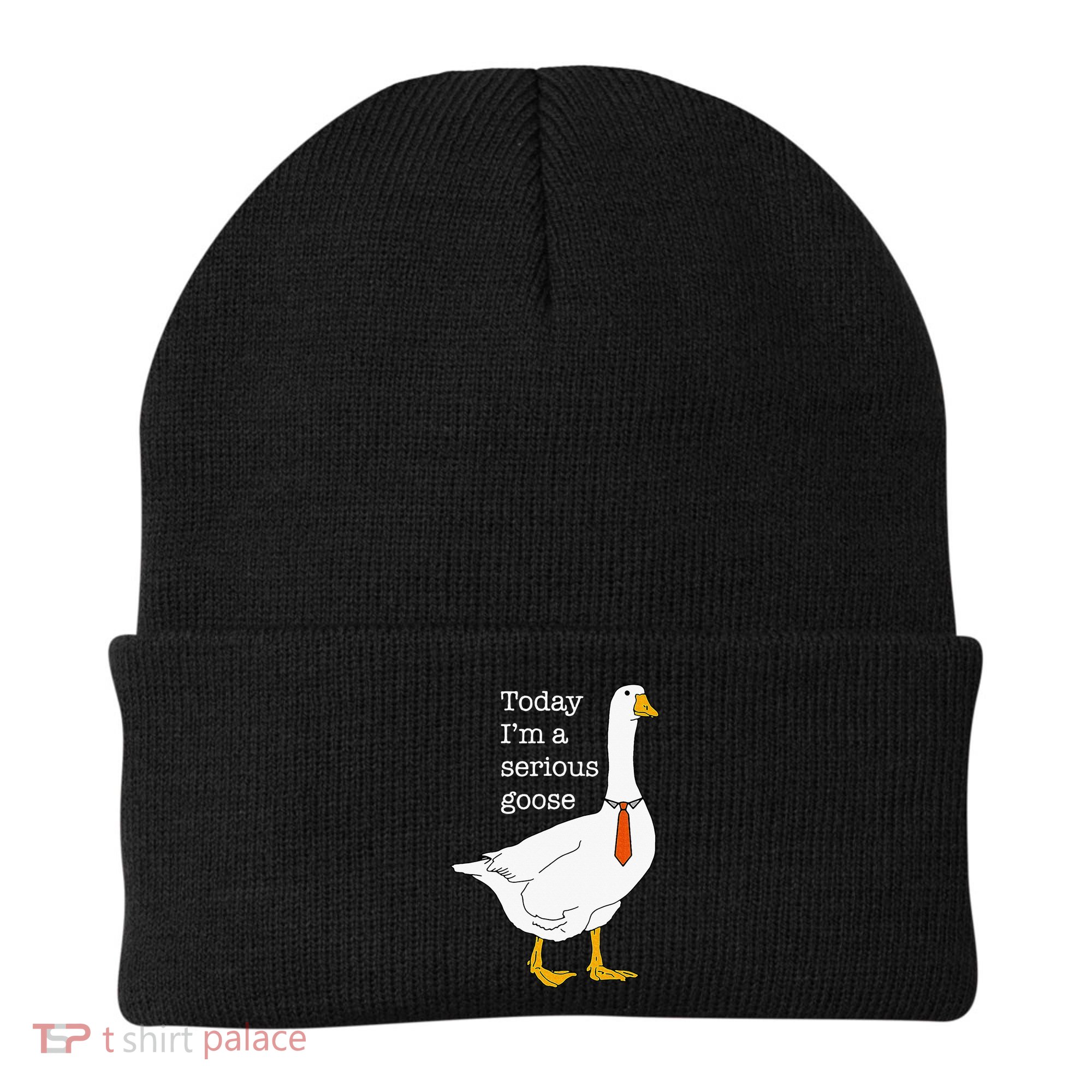 Today IM A Serious Goose Silly Goose Beanie