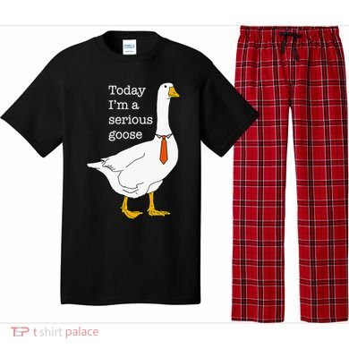 Today IM A Serious Goose Silly Goose Pajama Set