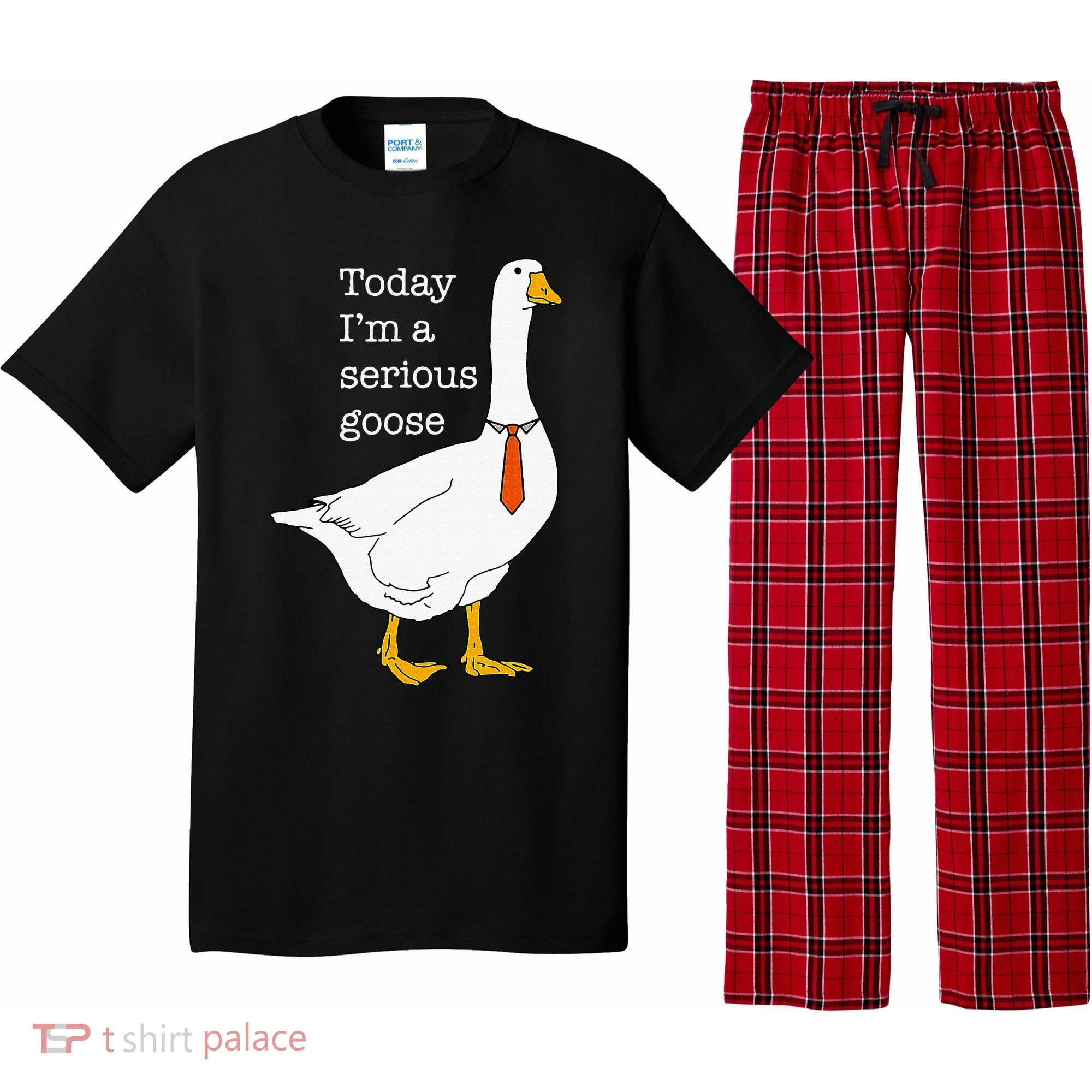 Today IM A Serious Goose Silly Goose Pajama Set