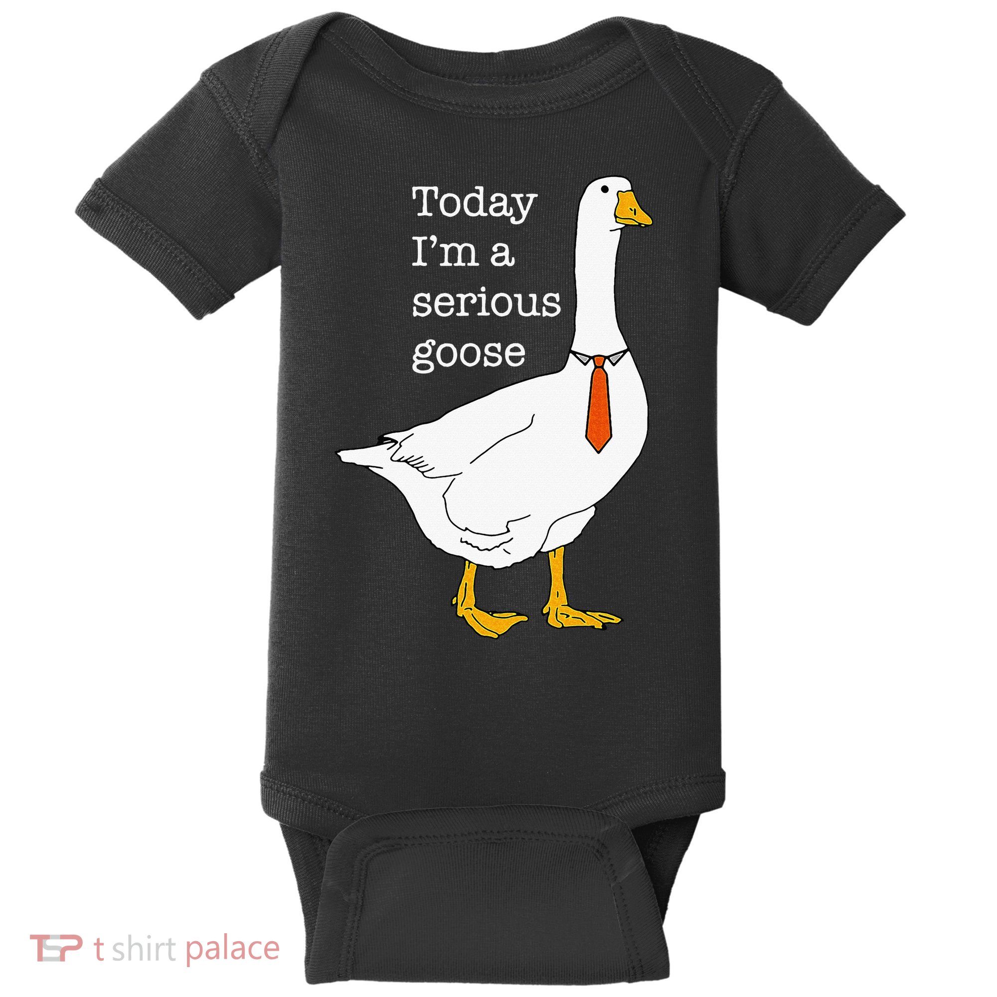Today IM A Serious Goose Silly Goose Baby Bodysuit