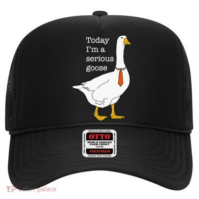 Today IM A Serious Goose Silly Goose Hat