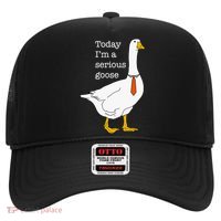 Today IM A Serious Goose Silly Goose Hat thumb 0