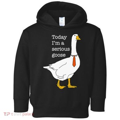 Today IM A Serious Goose Silly Goose Toddler Hoodie