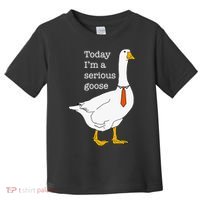 Today IM A Serious Goose Silly Goose Toddler T-Shirt thumb 0