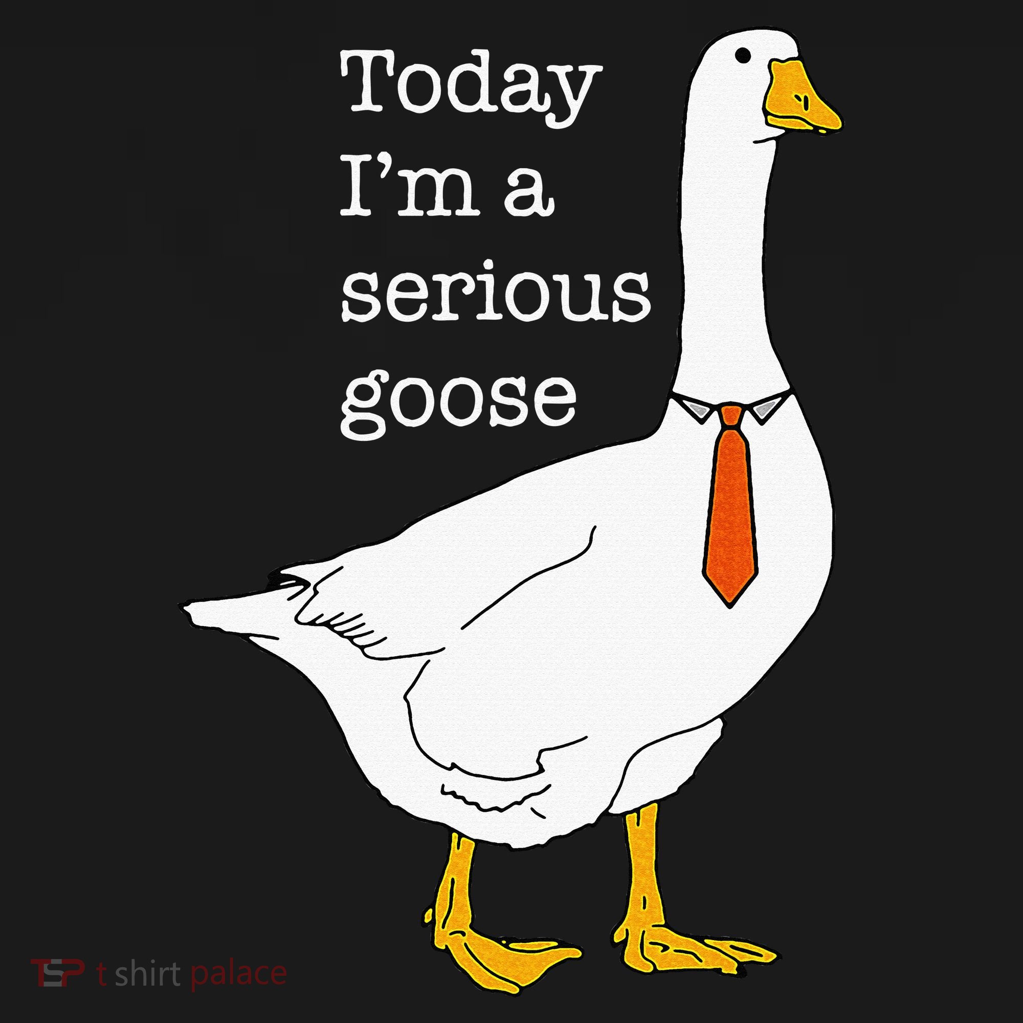 Today IM A Serious Goose Silly Goose Visor