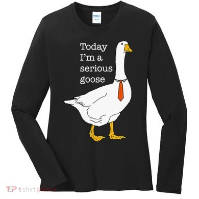 Today IM A Serious Goose Silly Goose Women's Long Sleeve Shirt